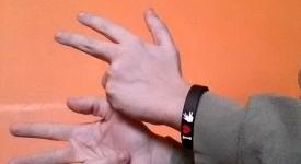 lingua segni wikipedia